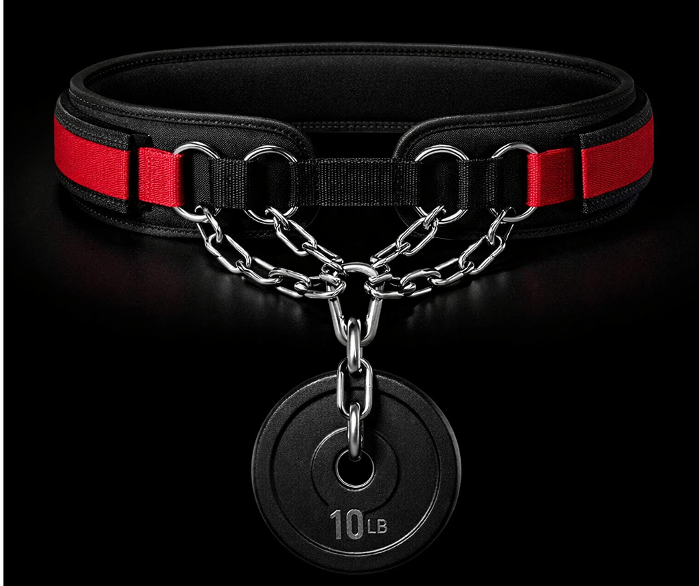 AbMaxx Weighted Ab Belt – Progressive Overload for Hanging Leg Raises