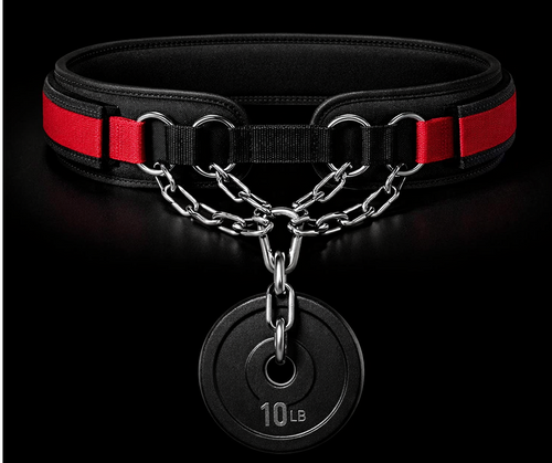 AbMaxx Weighted Ab Belt – Progressive Overload for Hanging Leg Raises